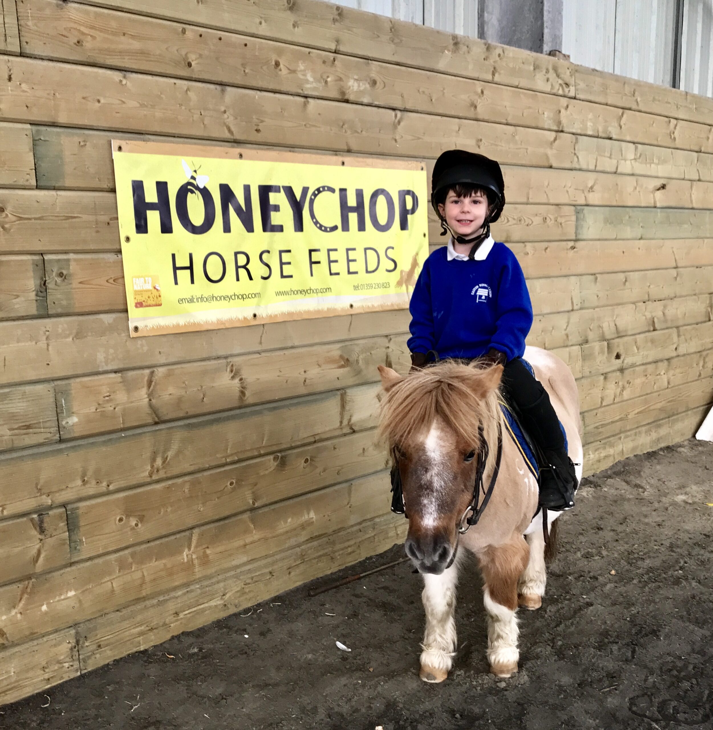 image2 - Honeychop
